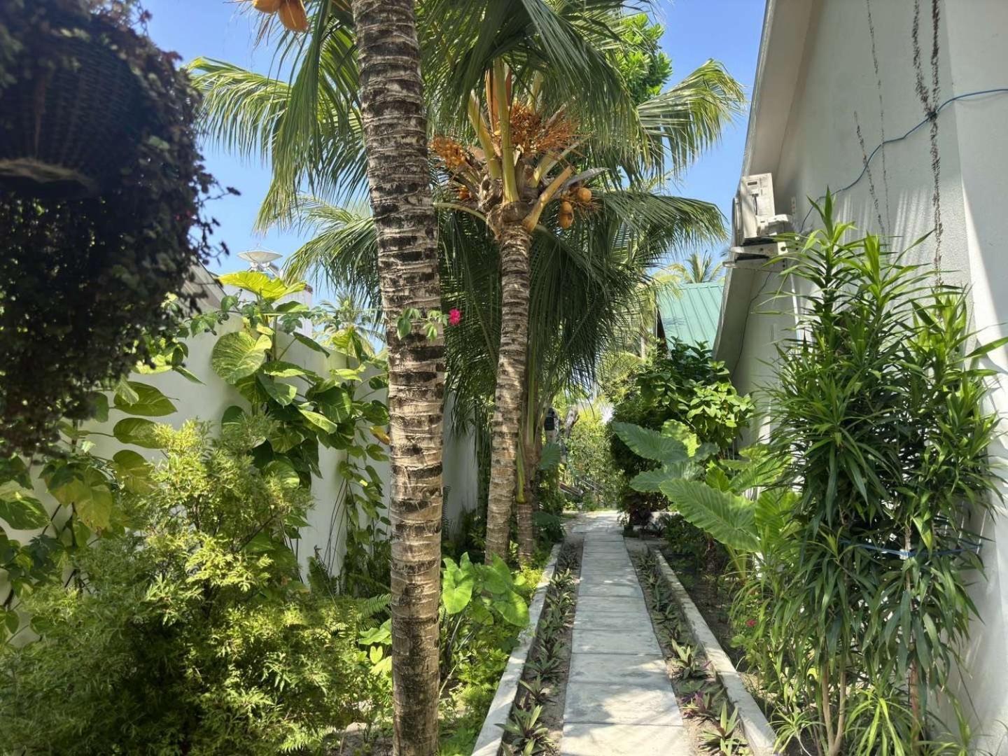 Aqua Oasis Hotel Thoddoo Bagian luar foto